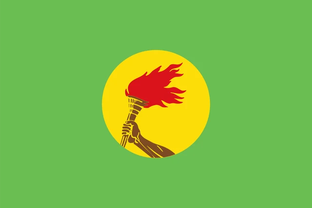 Flag of Zaire